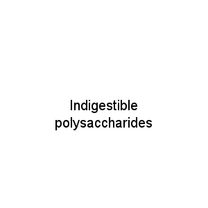 Indigestible polysaccharides